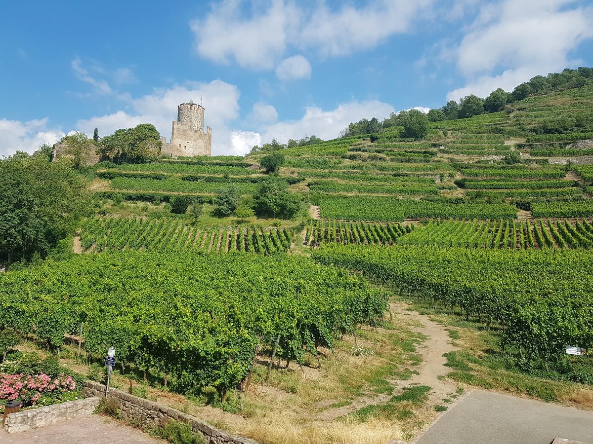 Kaysersberg City Center - Cote Vignoble - Екстериор снимка